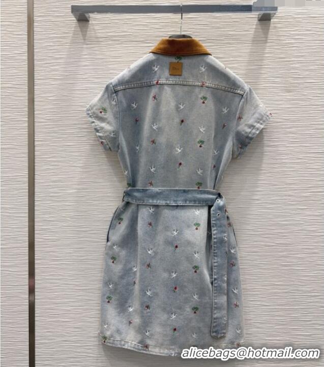 Good Quality Dior Embroidered Cotton Washed Denim Dress DR032407 Blue 2026