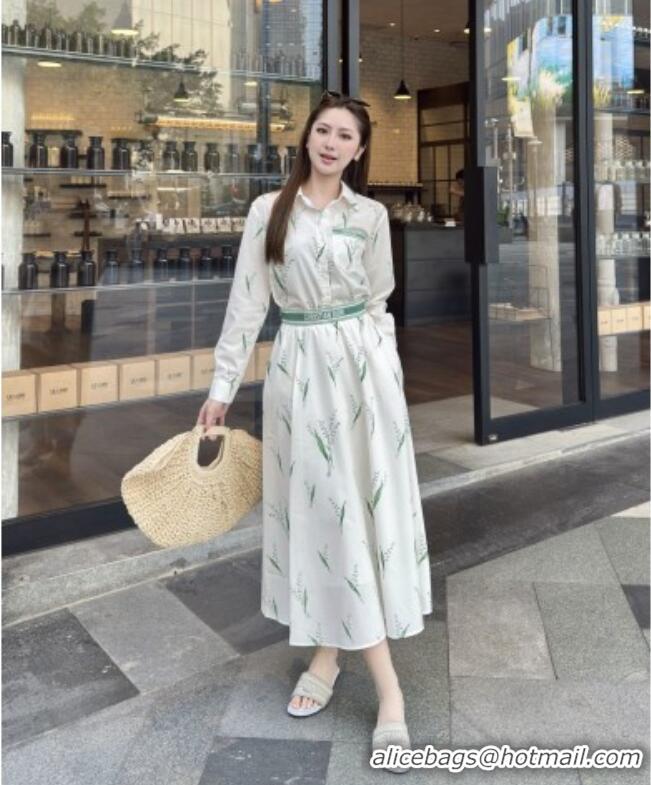 Famous Brand Inexpensive Dior Shirt D041013 White/Green 2026