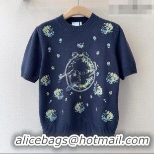 Buy Discount Dior Short-Sleeved Sweater D041112 Blue 2026