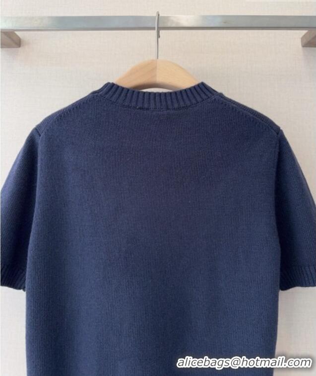 Buy Discount Dior Short-Sleeved Sweater D041112 Blue 2026