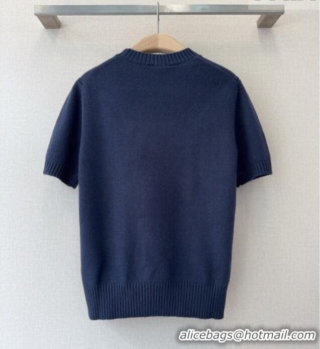 Buy Discount Dior Short-Sleeved Sweater D041112 Blue 2026