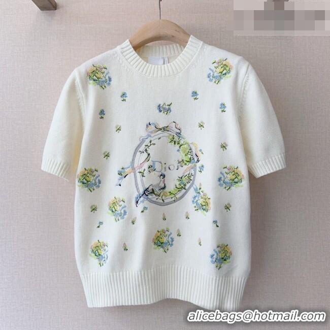 Unique Grade Dior Short-Sleeved Sweater D041113 White 2026