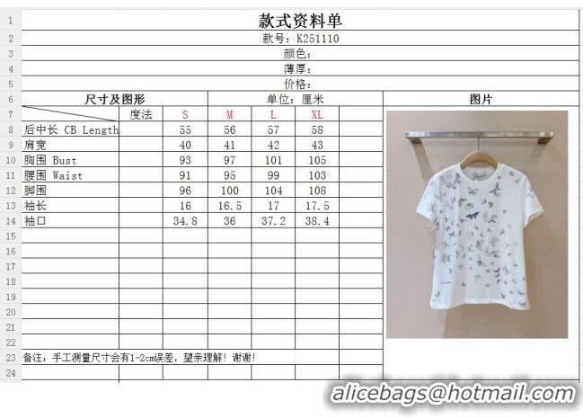 Best Grade Dior Cotton T-shirt D041123 White 2026