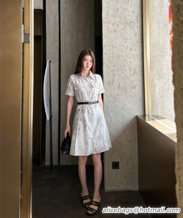 Good Taste Dior Printed Dress DR042207 Grey 2026
