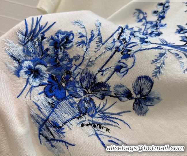 Most Popular Dior Knit Short-sleeved Sweater with embroidery DR042212 White/Blue 2026