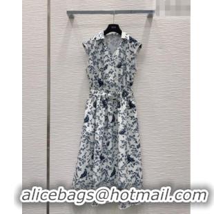Luxury Design Dior Printed Dress DR042323 Blue 2026