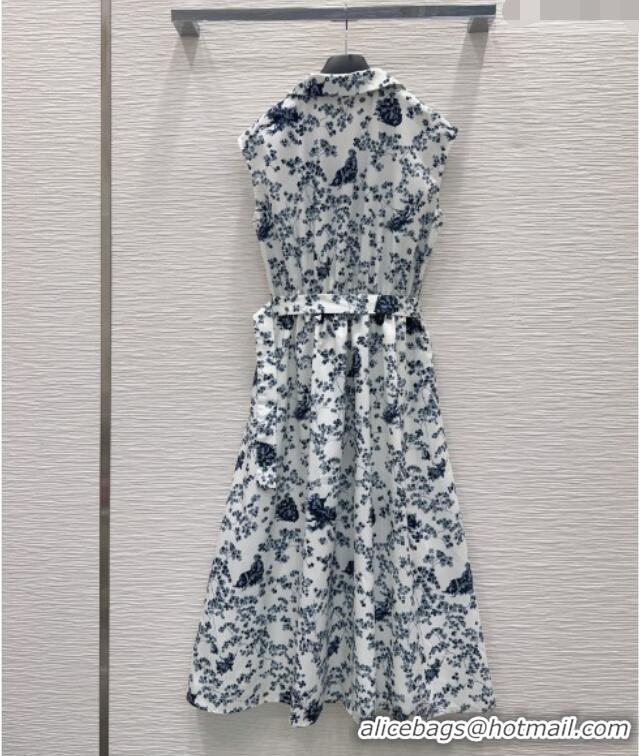 Luxury Design Dior Printed Dress DR042323 Blue 2026