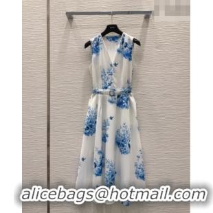 New Fashion Dior Printed Dress DR042331 White/Blue 2026