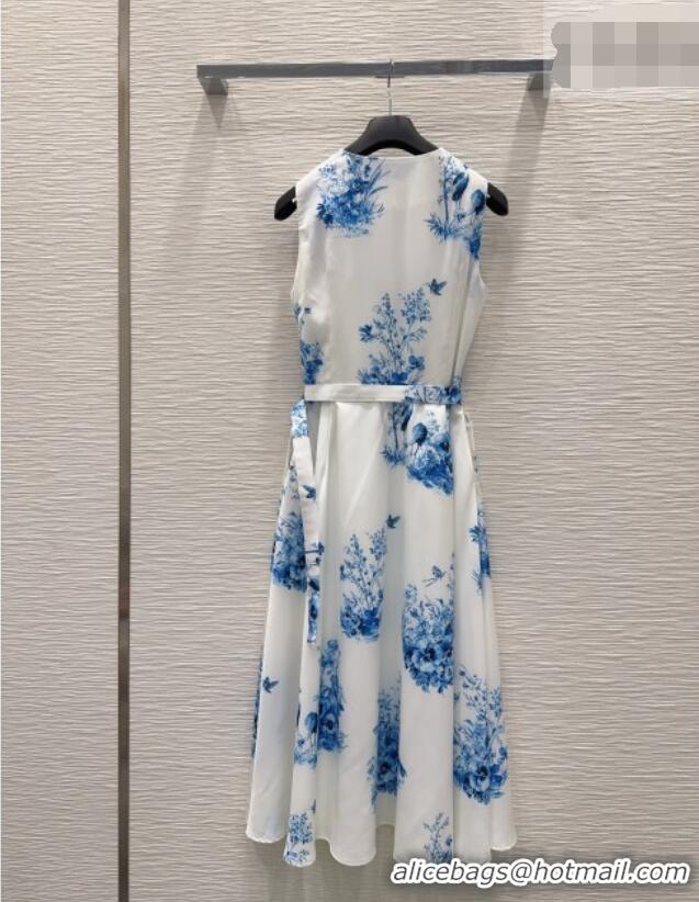 New Fashion Dior Printed Dress DR042331 White/Blue 2026