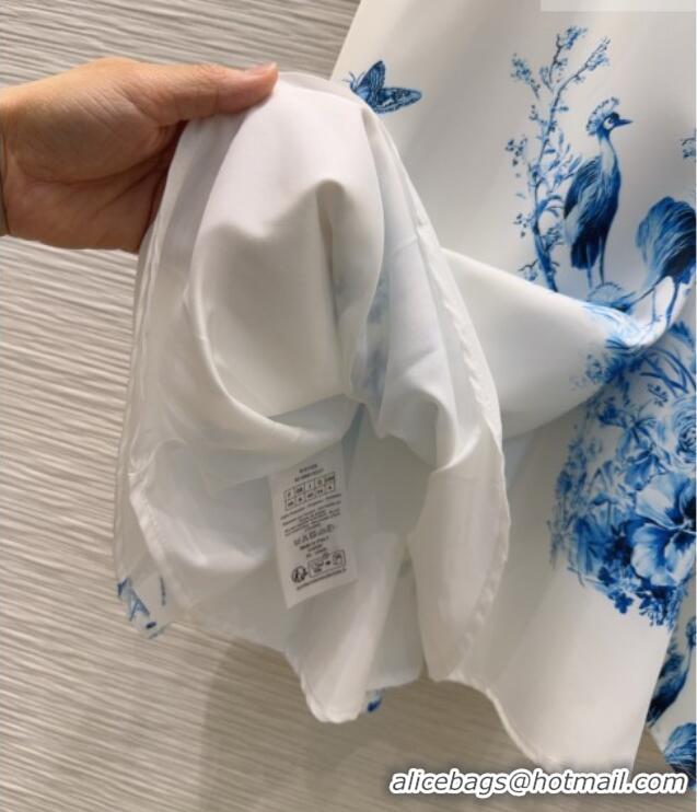 New Fashion Dior Printed Dress DR042331 White/Blue 2026