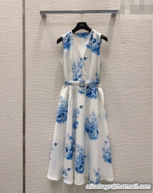 New Fashion Dior Printed Dress DR042331 White/Blue 2026