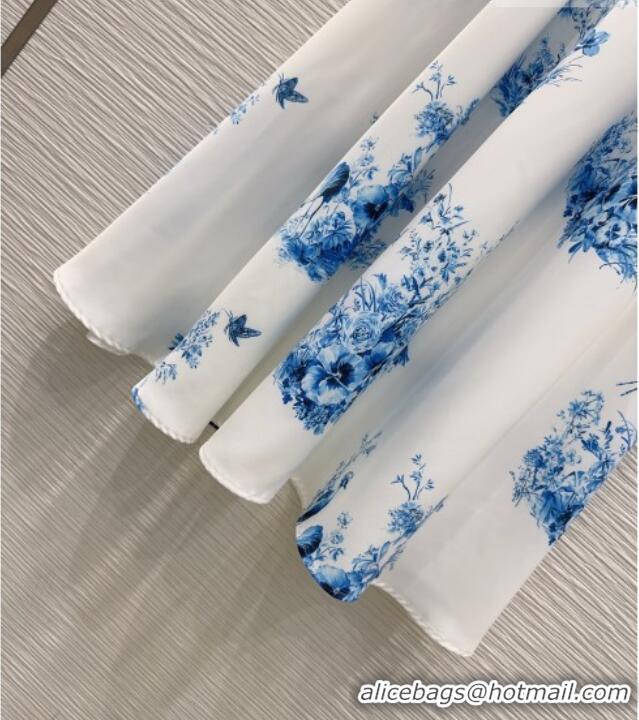 New Fashion Dior Printed Dress DR042331 White/Blue 2026