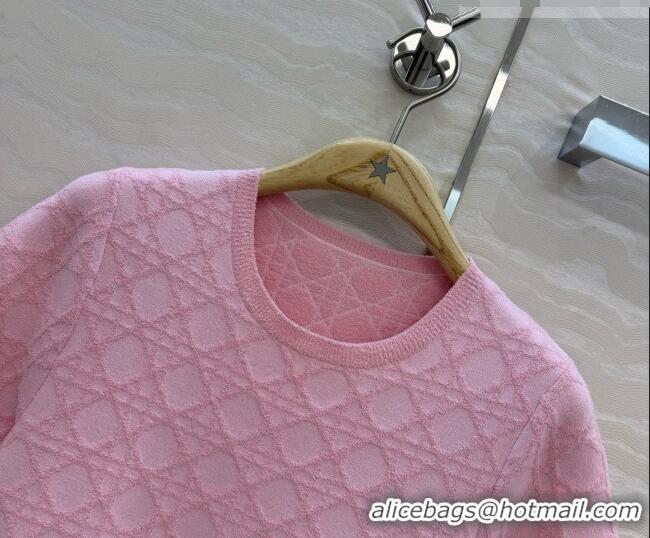 Pretty Style Dior Knit Dress D081237 Pink 2026