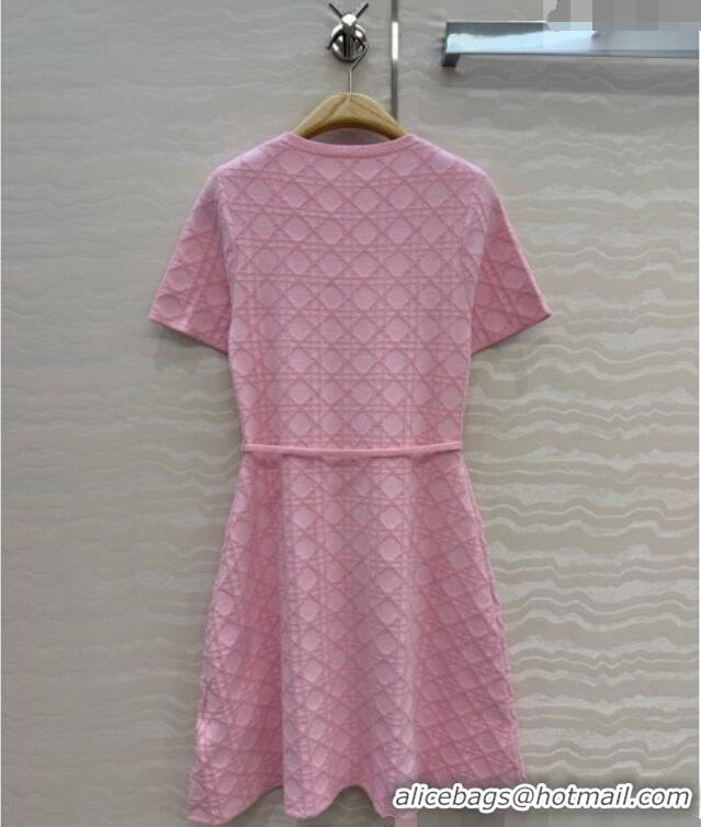 Pretty Style Dior Knit Dress D081237 Pink 2026