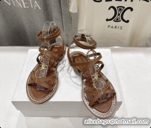 Good Product Celine Flat Sandals in Supple Calfskin C080117 Brown 2026