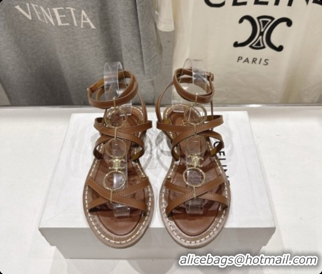 Good Product Celine Flat Sandals in Supple Calfskin C080117 Brown 2026