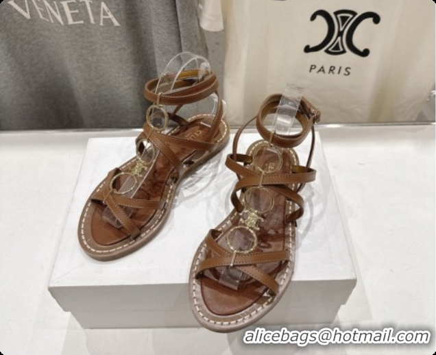 Good Product Celine Flat Sandals in Supple Calfskin C080117 Brown 2026