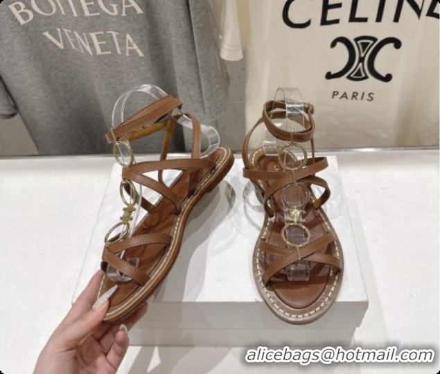 Good Product Celine Flat Sandals in Supple Calfskin C080117 Brown 2026