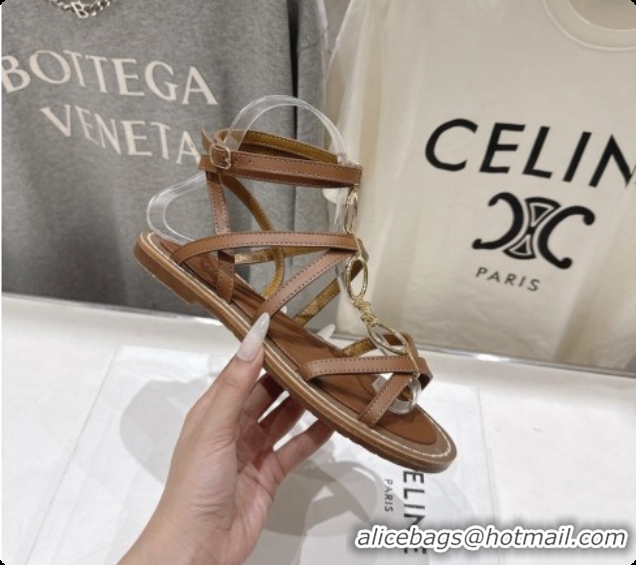 Good Product Celine Flat Sandals in Supple Calfskin C080117 Brown 2026