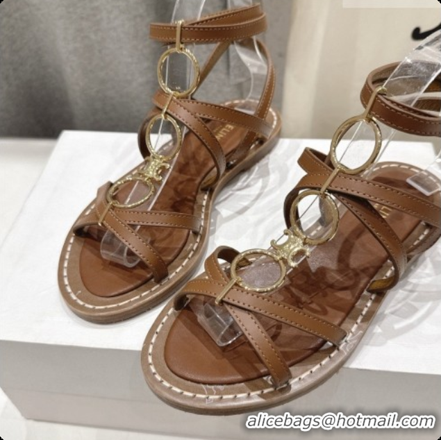 Good Product Celine Flat Sandals in Supple Calfskin C080117 Brown 2026