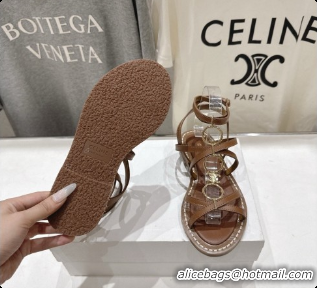 Good Product Celine Flat Sandals in Supple Calfskin C080117 Brown 2026