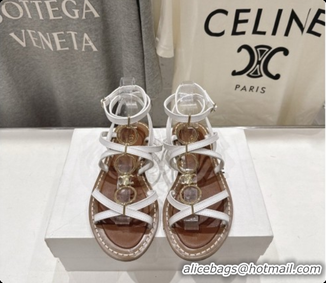 Classic Hot Celine Flat Sandals in Supple Calfskin C080117 White 2026