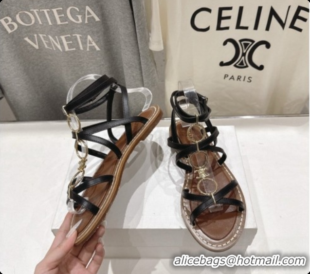 Good Looking Celine Flat Sandals in Supple Calfskin C080117 Black 2026