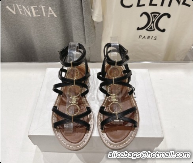 Good Looking Celine Flat Sandals in Supple Calfskin C080117 Black 2026