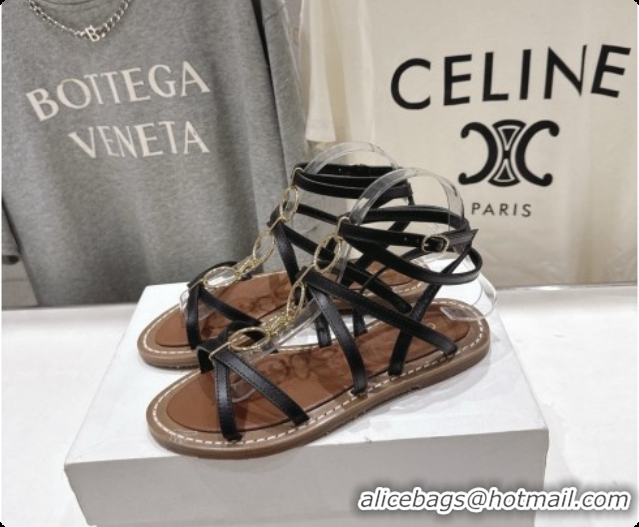 Good Looking Celine Flat Sandals in Supple Calfskin C080117 Black 2026