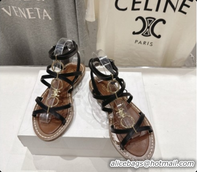 Good Looking Celine Flat Sandals in Supple Calfskin C080117 Black 2026