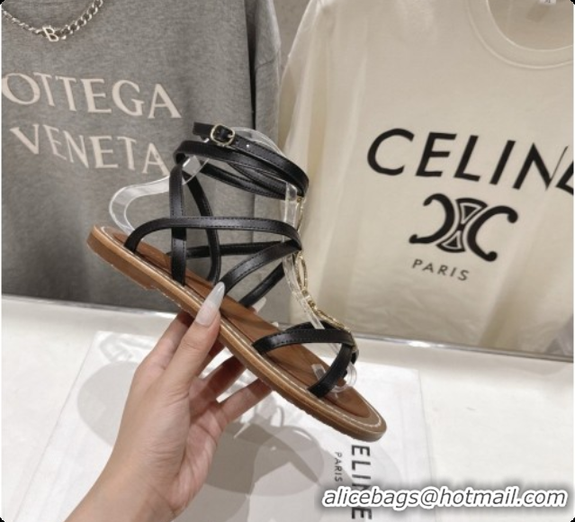 Good Looking Celine Flat Sandals in Supple Calfskin C080117 Black 2026