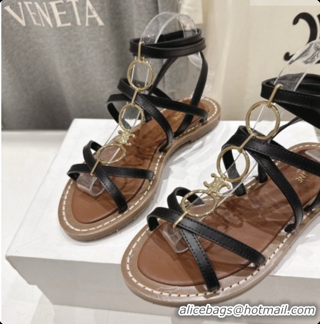 Good Looking Celine Flat Sandals in Supple Calfskin C080117 Black 2026