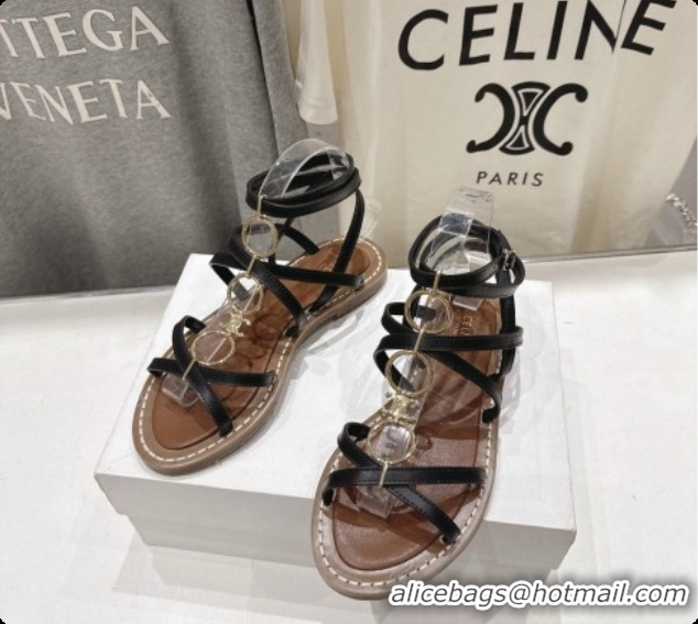 Good Looking Celine Flat Sandals in Supple Calfskin C080117 Black 2026