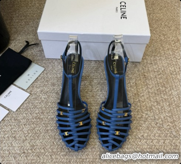 Cheap Price Celine Cage Heeled Sandals 6cm in Calfskin C080330 Blue 2026