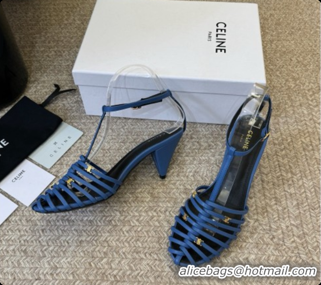 Cheap Price Celine Cage Flat Sandals in Calfskin C080323 Blue 2026
