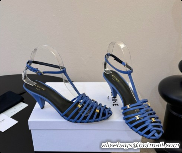 Cheap Price Celine Cage Flat Sandals in Calfskin C080323 Blue 2026