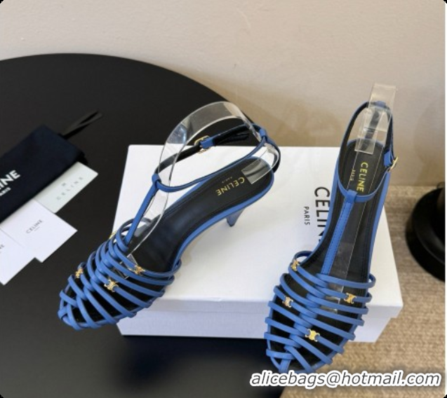 Cheap Price Celine Cage Flat Sandals in Calfskin C080323 Blue 2026