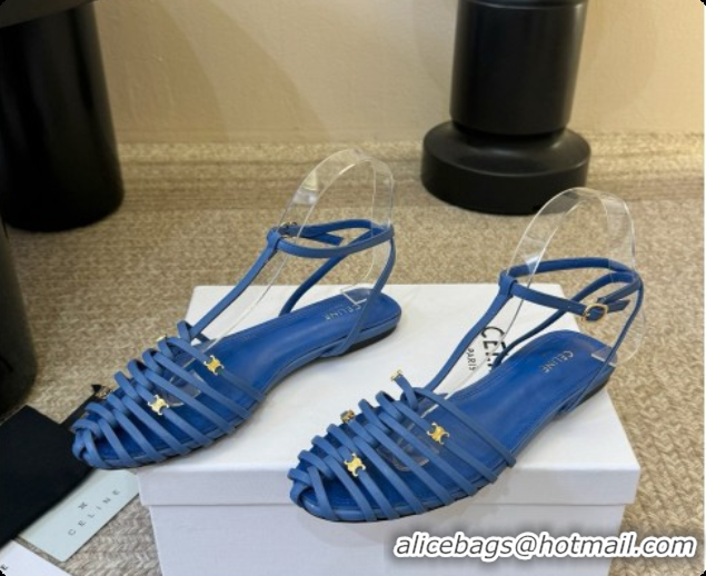 Cheap Price Celine Cage Flat Sandals in Calfskin C080323 Blue 2026