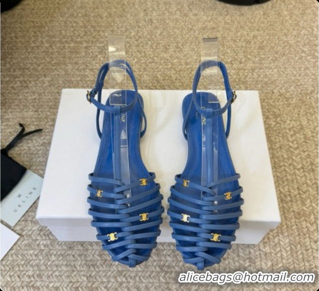 Cheap Price Celine Cage Flat Sandals in Calfskin C080323 Blue 2026
