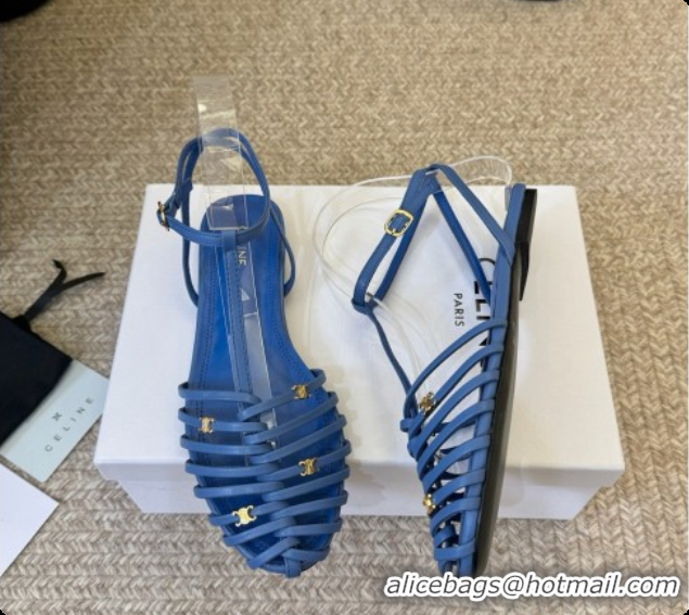 Cheap Price Celine Cage Flat Sandals in Calfskin C080323 Blue 2026