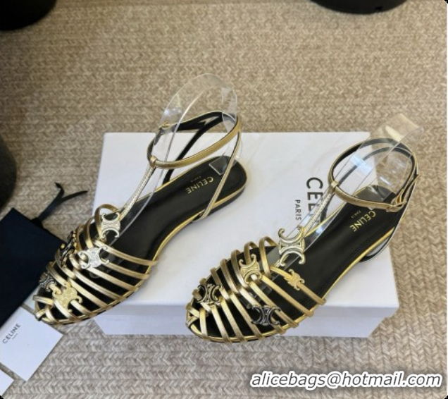 Most Popular Celine Cage Flat Sandals in Calfskin C080324 Gold 2026