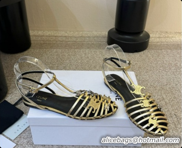 Most Popular Celine Cage Flat Sandals in Calfskin C080324 Gold 2026