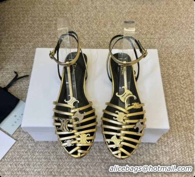 Most Popular Celine Cage Flat Sandals in Calfskin C080324 Gold 2026