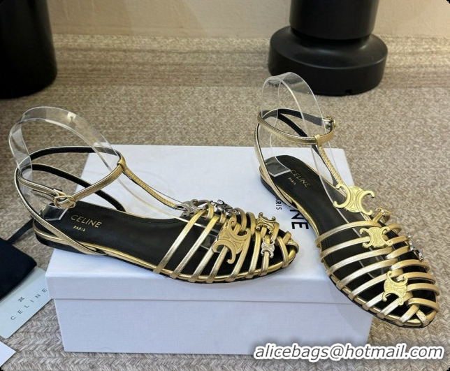 Most Popular Celine Cage Flat Sandals in Calfskin C080324 Gold 2026