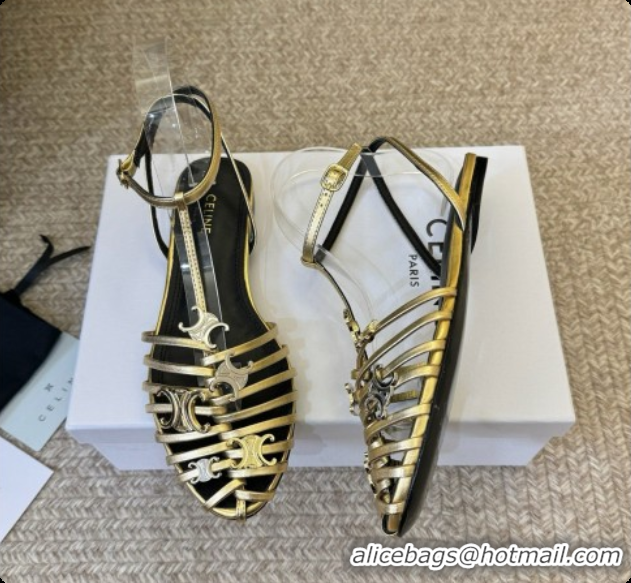 Most Popular Celine Cage Flat Sandals in Calfskin C080324 Gold 2026