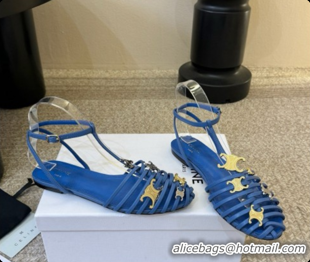 Good Looking Celine Cage Flat Sandals in Calfskin C080325 Blue 2026