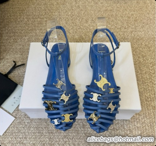 Good Looking Celine Cage Flat Sandals in Calfskin C080325 Blue 2026