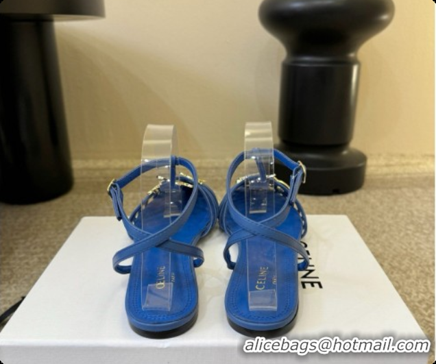 Good Looking Celine Cage Flat Sandals in Calfskin C080325 Blue 2026