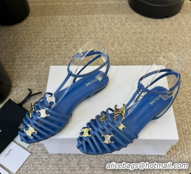 Good Looking Celine Cage Flat Sandals in Calfskin C080325 Blue 2026