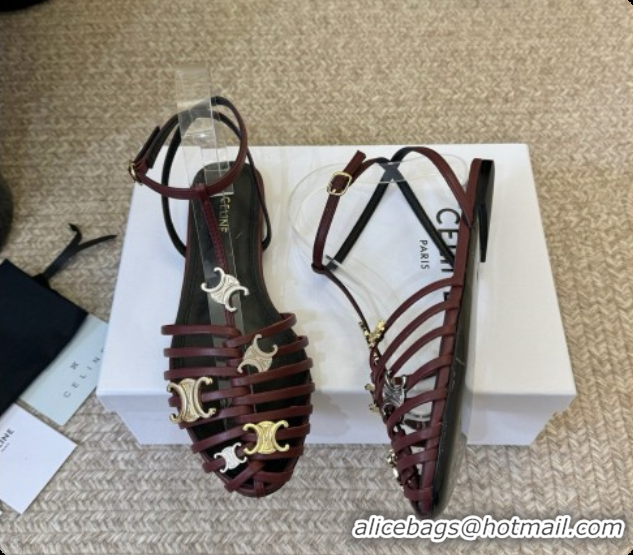 Hot Style Celine Cage Flat Sandals in Calfskin C080326 Burgundy 2026